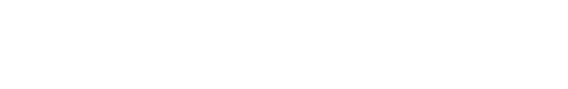 SCANECA Logo